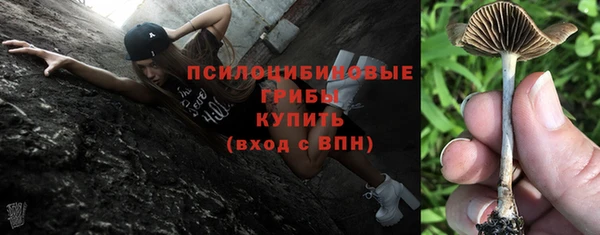 mdpv Нязепетровск