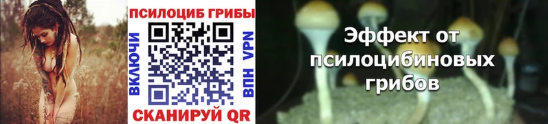 Купить закладки  Кочубеевское  Псилоцибиновые грибы Magic Shrooms